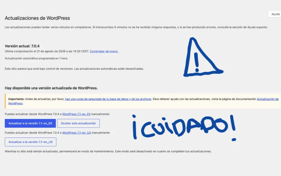 Actualizar WordPress de forma segura