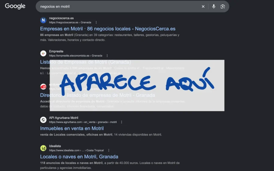 Negocios de Motril posicionados en Google
