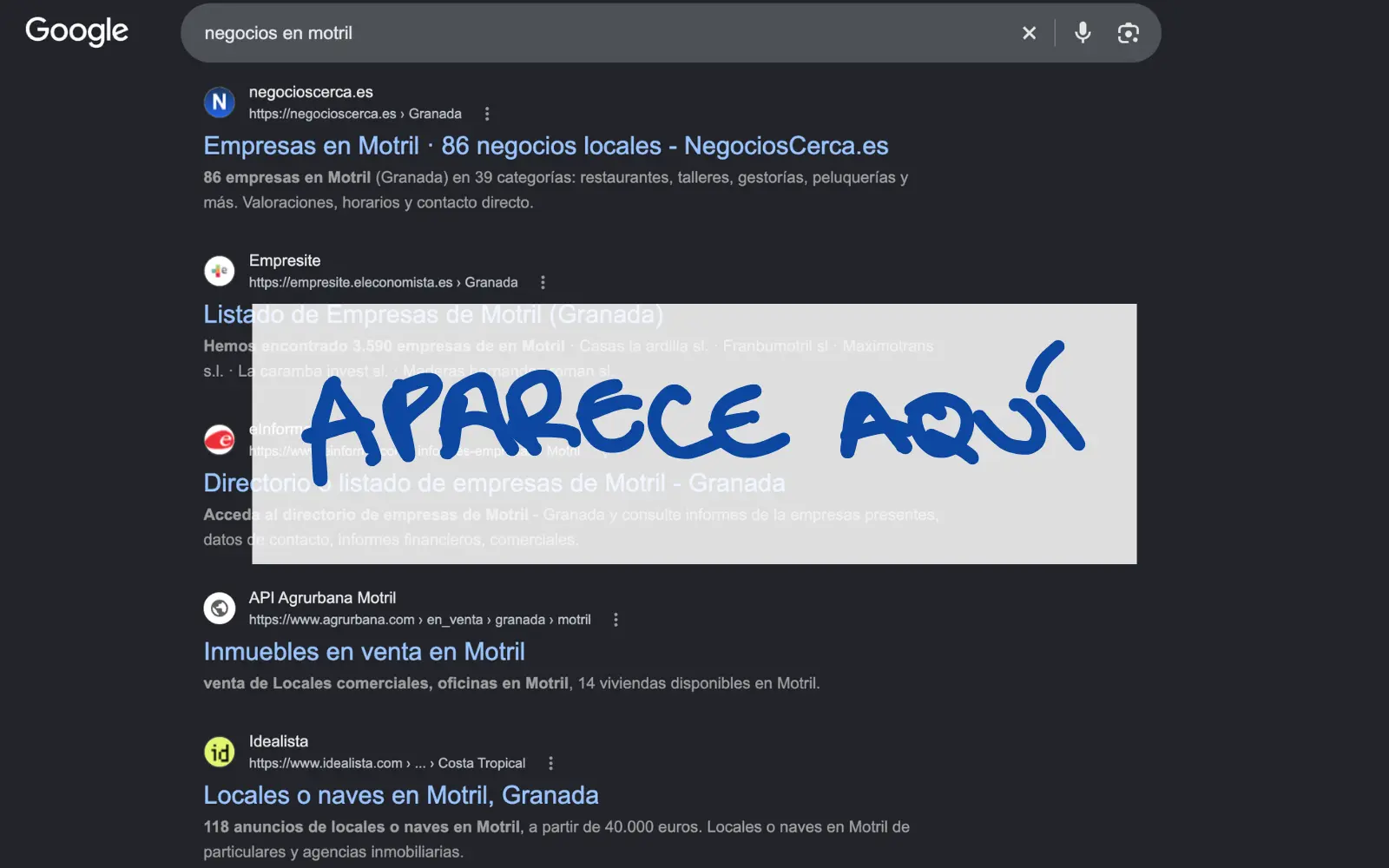 Negocios de Motril posicionados en Google